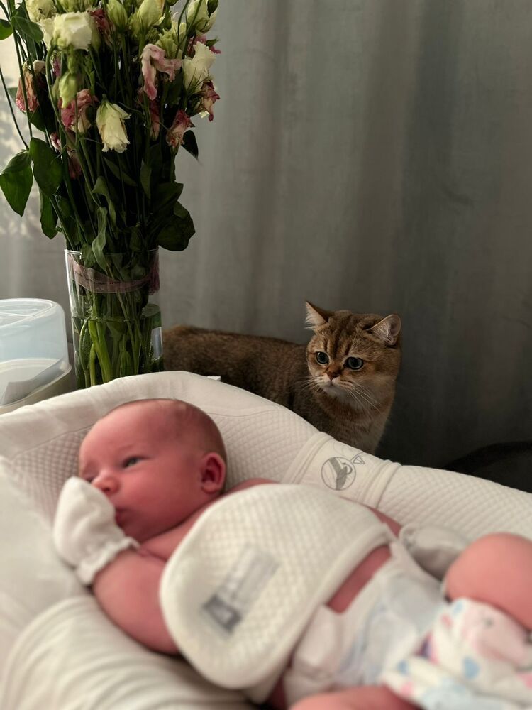 Знакомство