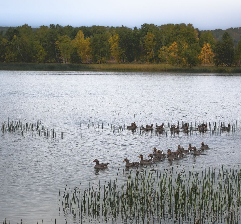 Photograph by Коротеев Вадим