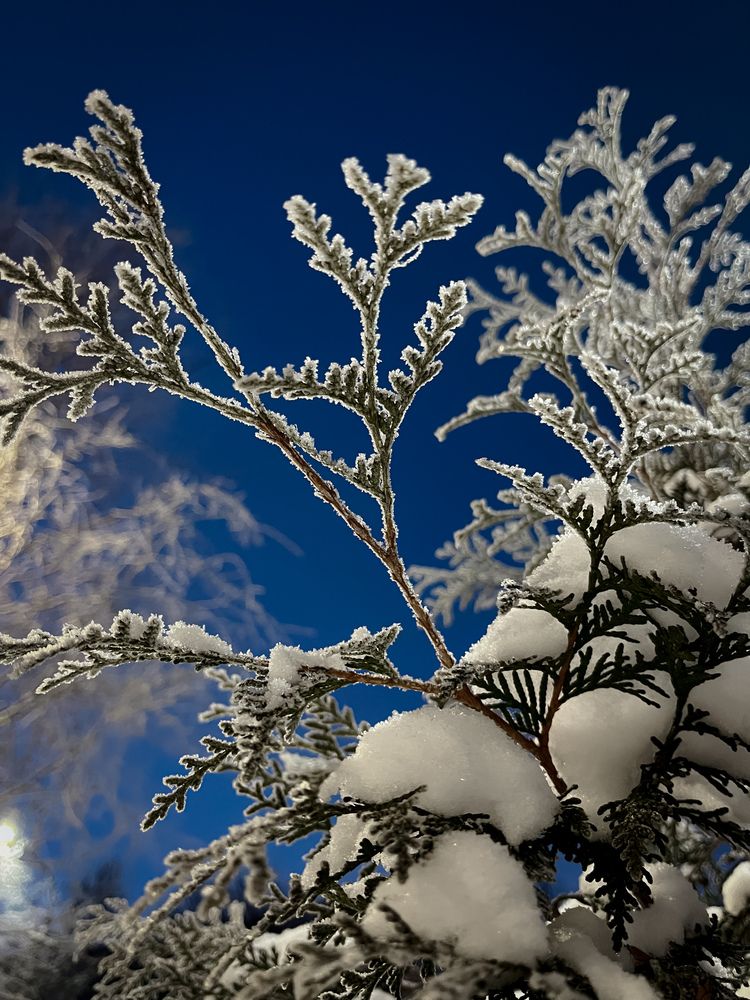 Photograph by Яна Сидорова