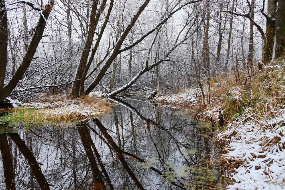 Photograph by Илья К