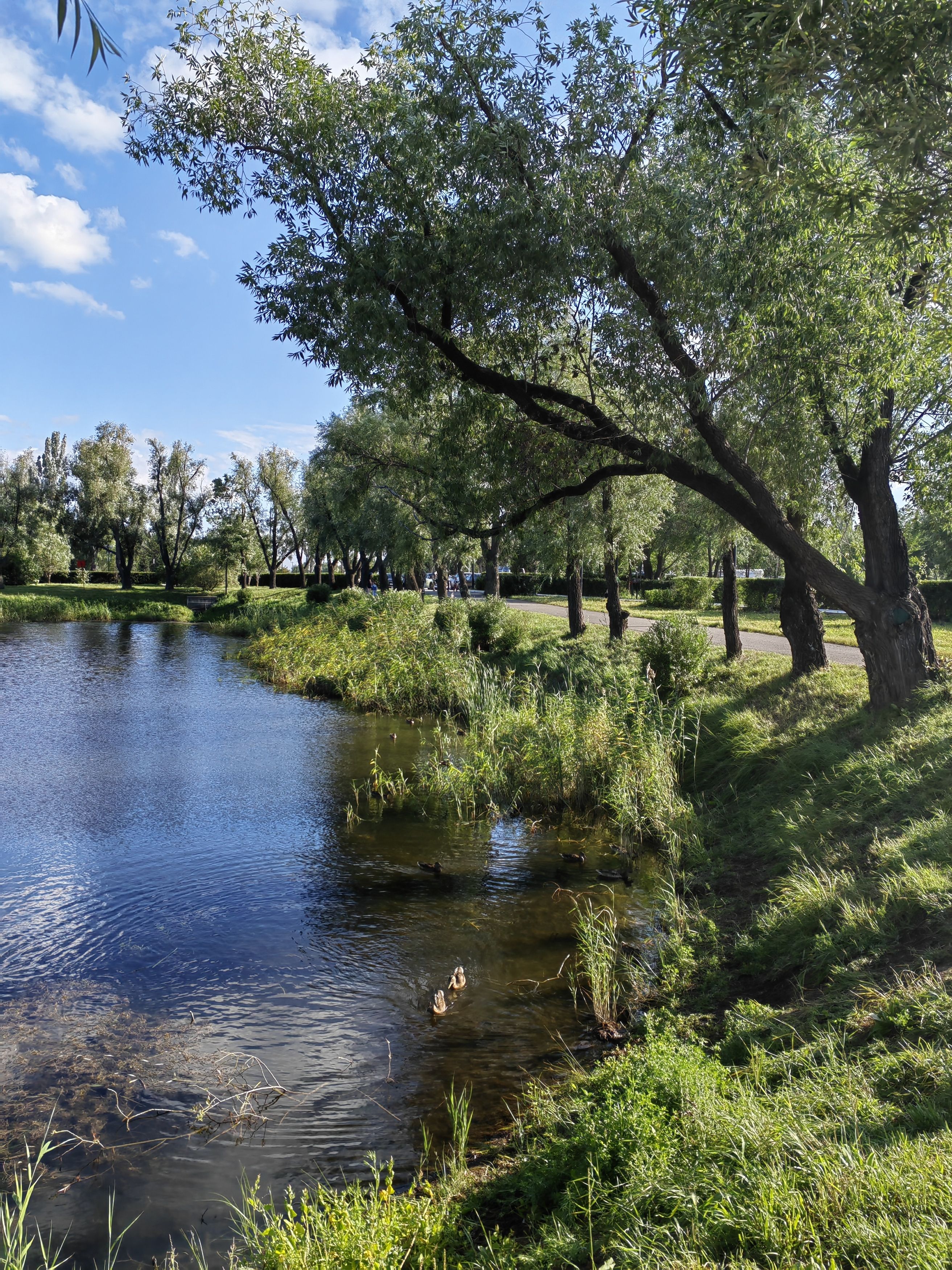 Photograph by Алёна С-К