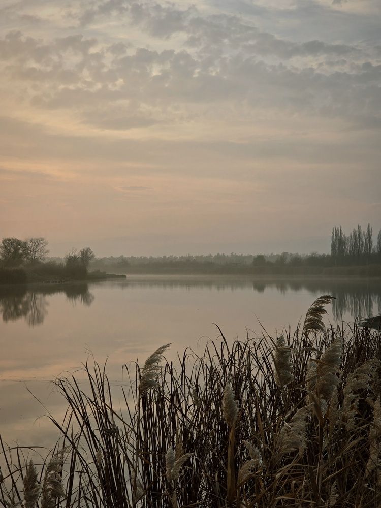 Photograph by Наталья Чурашова