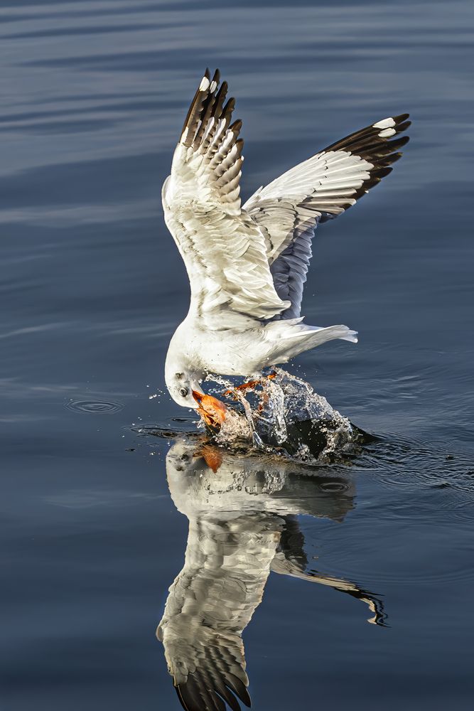 Photograph by NGUYEN HAI