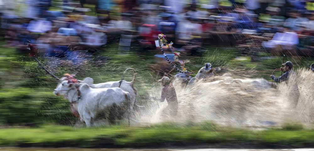 Photograph by NGUYEN HAI