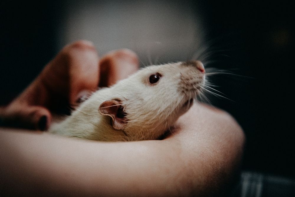 Photograph by Алексей