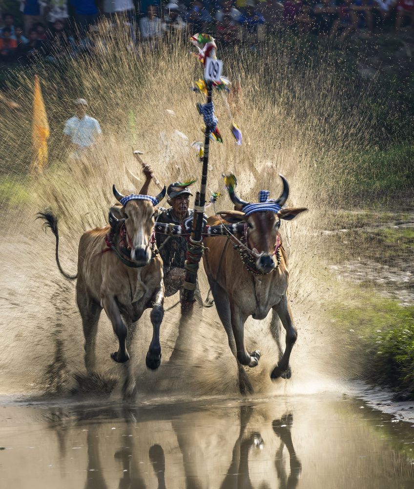 Photograph by NGUYEN HAI