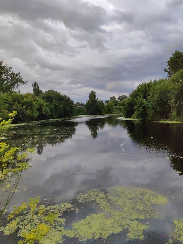 Photograph by Алёна С-К