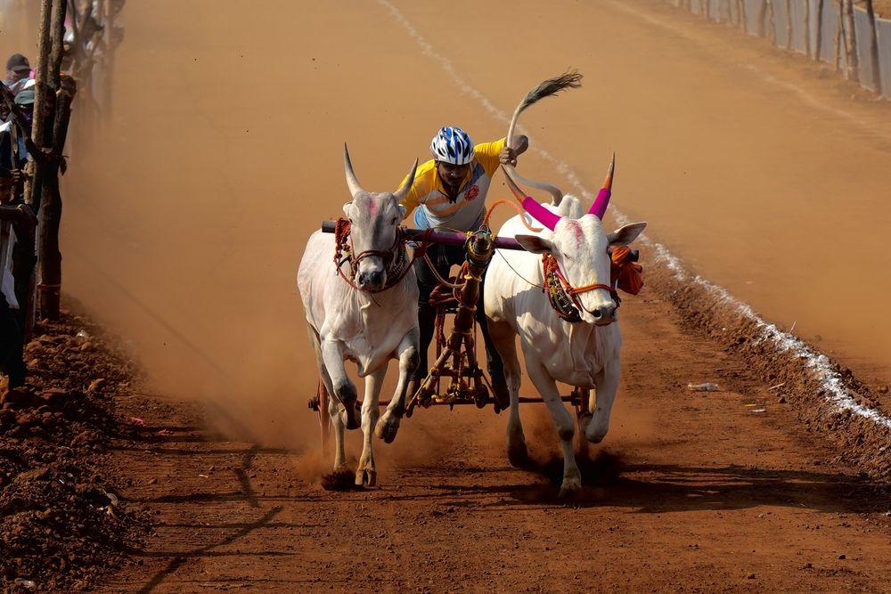 Photograph by Manish Rao