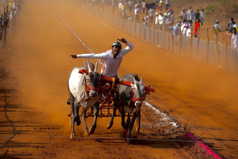 Photograph by Manish Rao