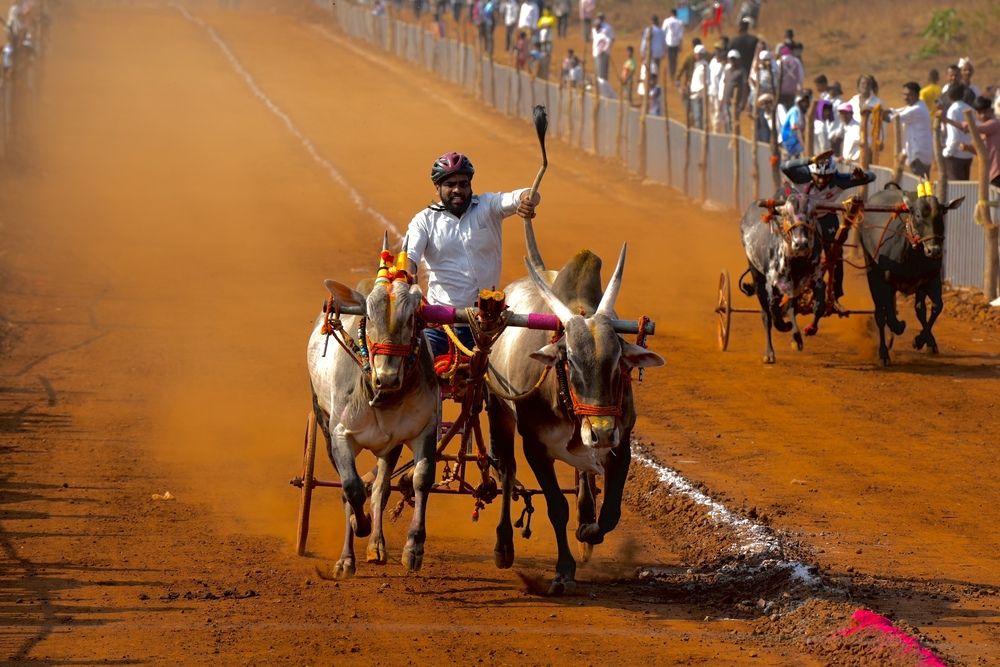 Photograph by Manish Rao