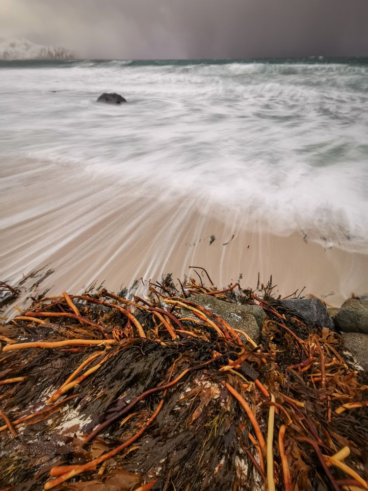 Photograph by Василий Яковлев