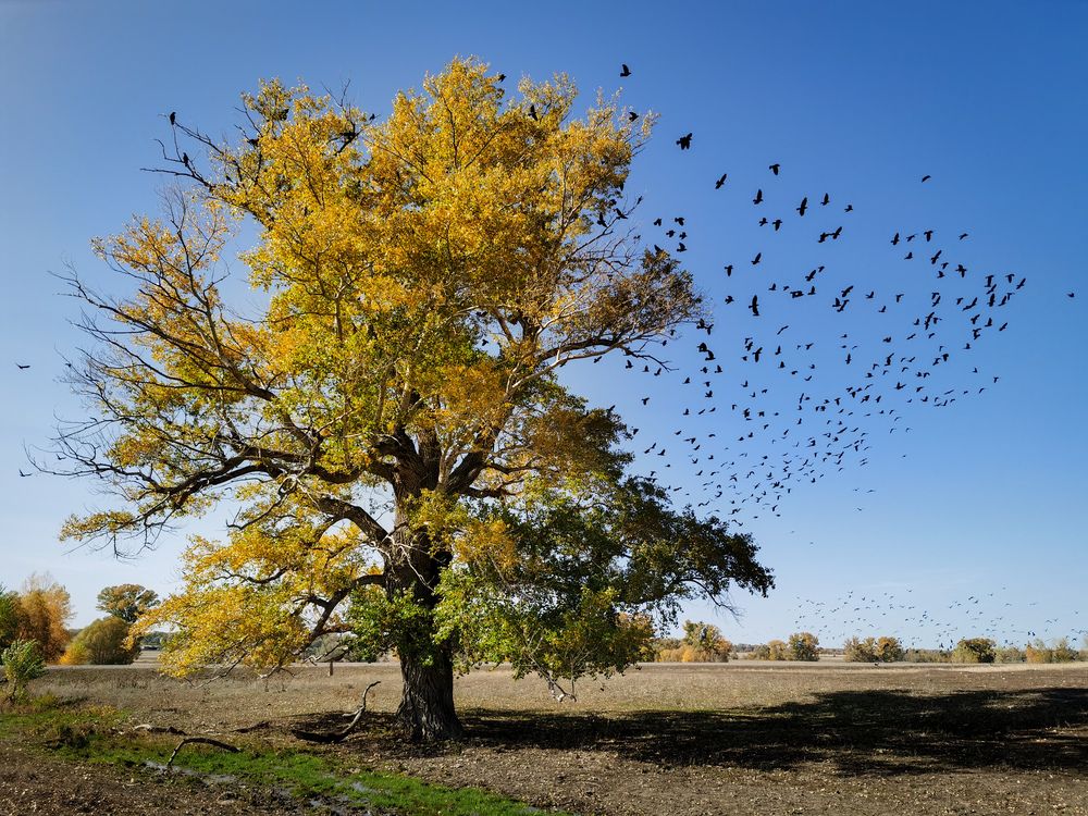 Photograph by Василий Яковлев