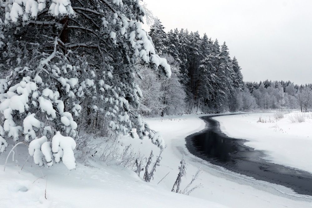 Photograph by Александр Лазебник