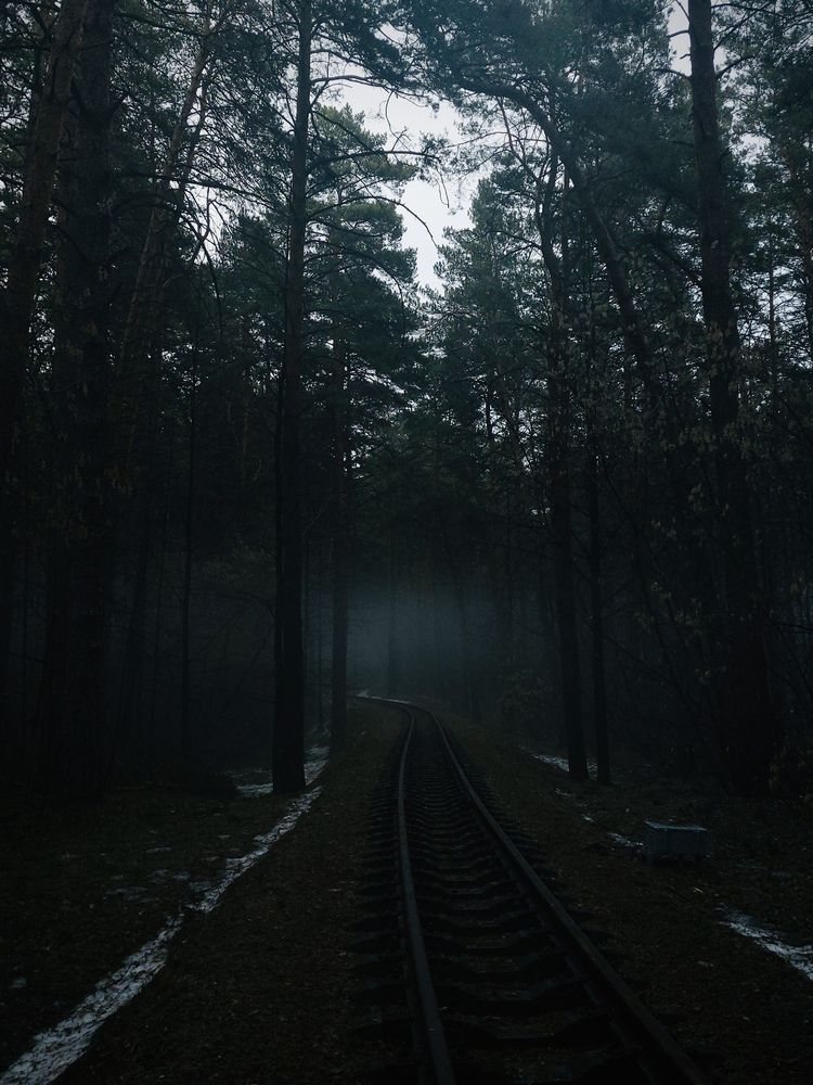 Фотография автора Бороздина Мария