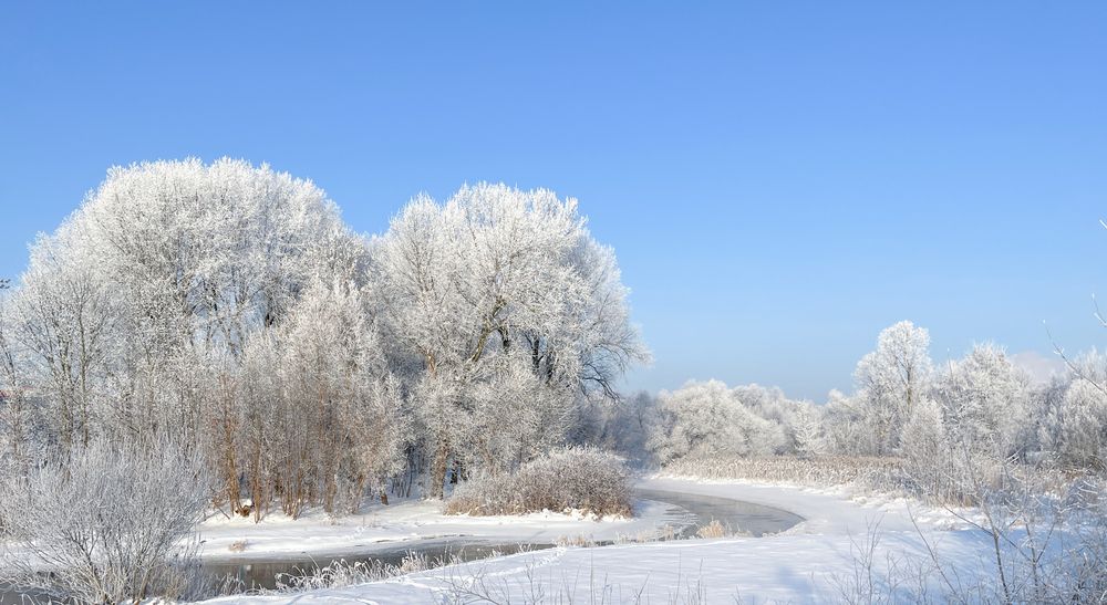 Photograph by Елена Зимняя