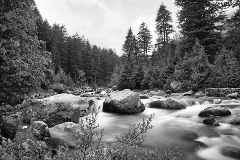 The wilderness is calling and I must go...