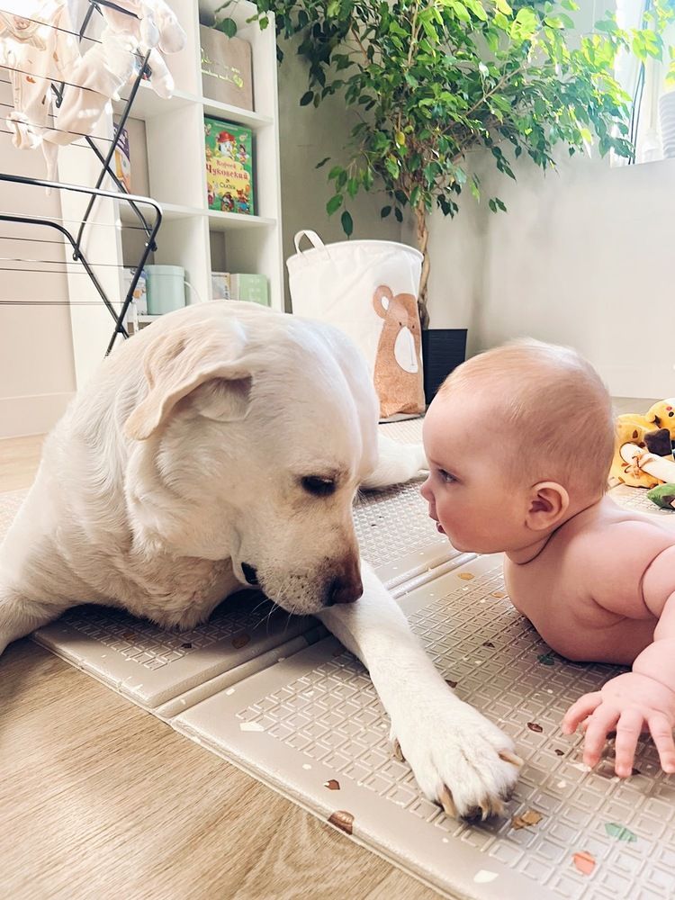 Photograph by Татьяна Волохова