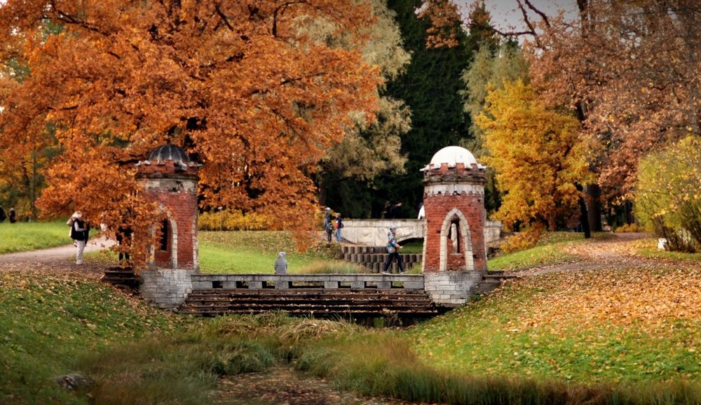 Фотография автора Елена Ли