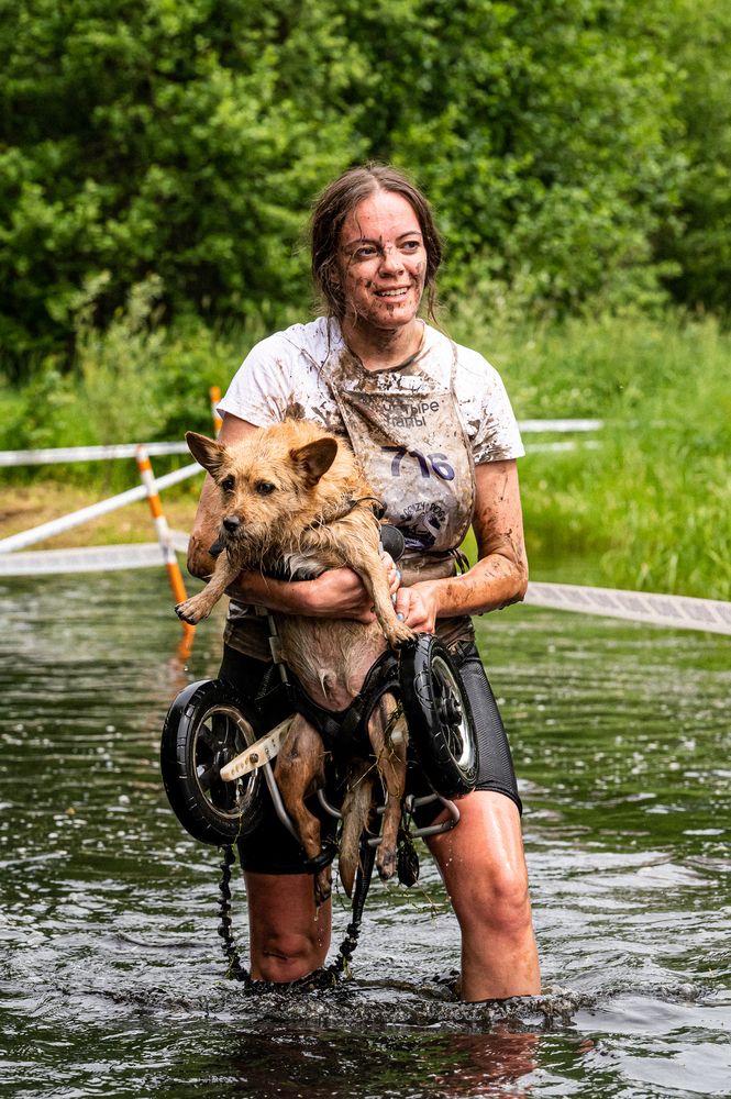 Мой верный друг