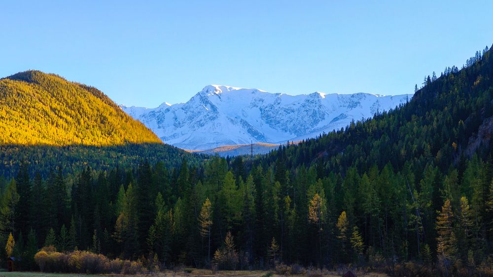 Photograph by Наталья Веселкина