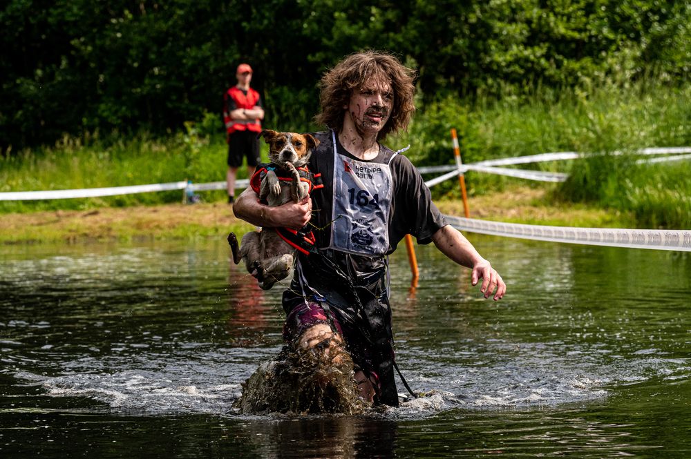 Фотография автора Александр Миронов