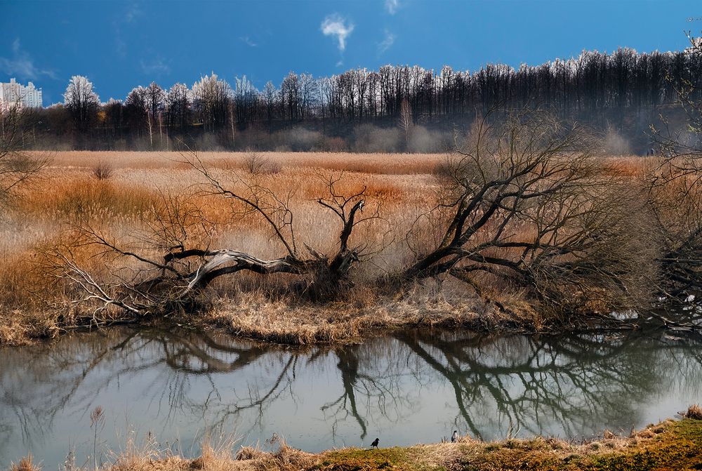 Photograph by Дмитрий Поляков