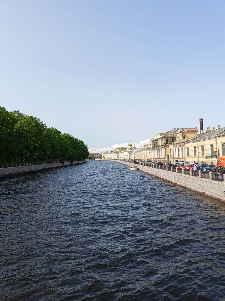 Photo #13230590