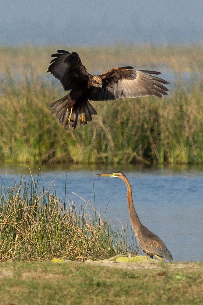 Photograph by vijay parmar