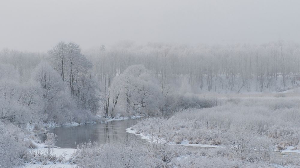 Photograph by Елена Зимняя