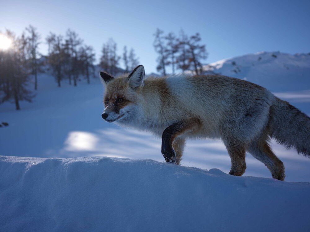 Photograph by 喻 子俊