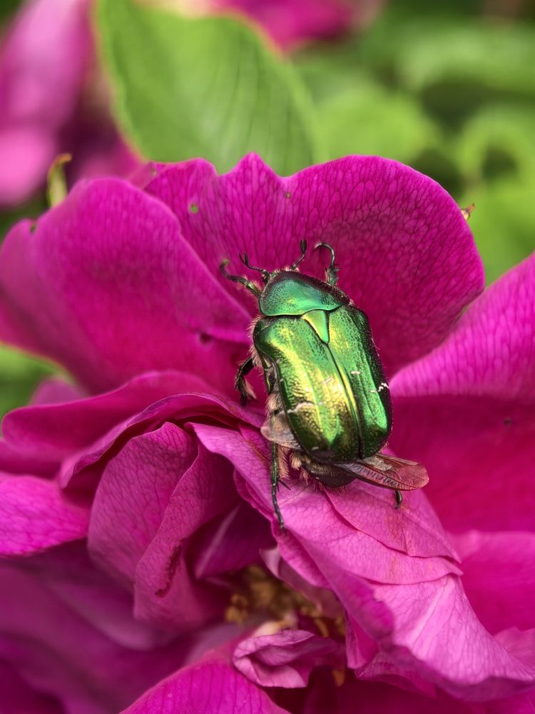 Photograph by Юлия
