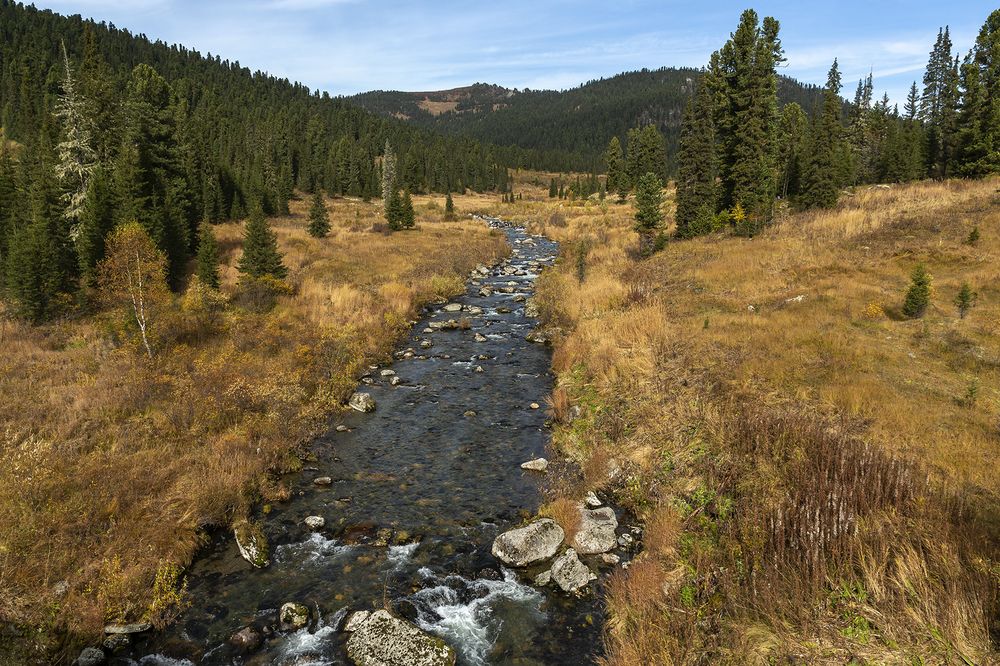 Фотография автора Олег Тетерин
