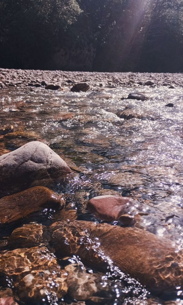 Photograph by Савина Анастасия Николаевна