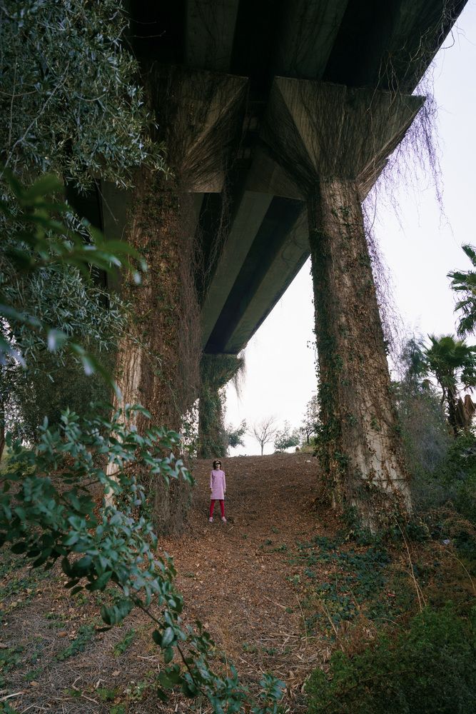 Фотография автора Александр Кучерявый