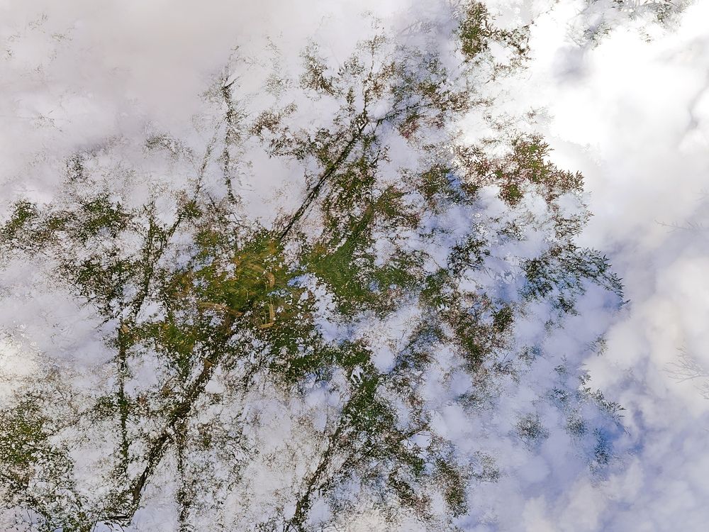 Photograph by OXANA NAUMOVA