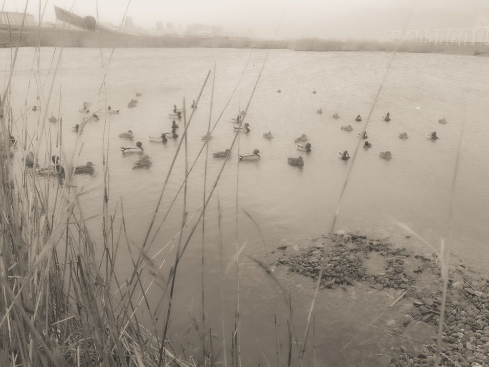 Photograph by OXANA NAUMOVA