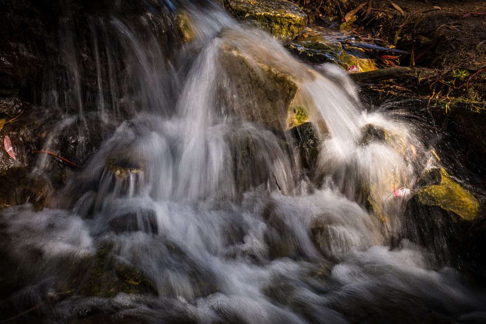 Фотография автора David Solodar