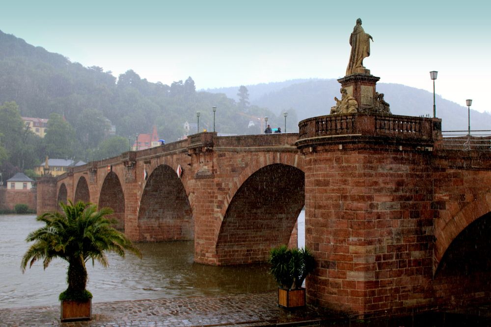 Фотография автора Алексей Макаров