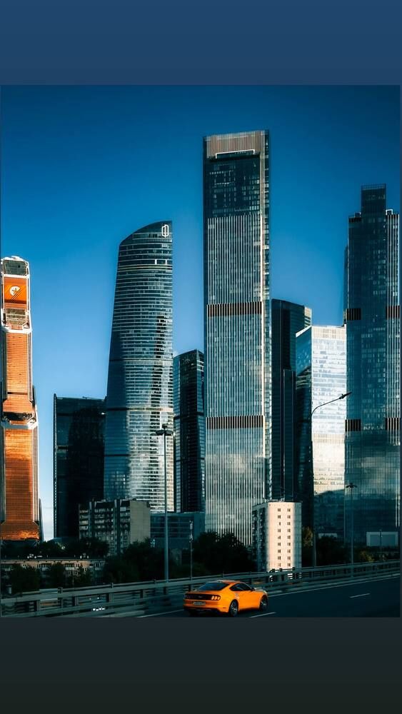 Фотография автора Вера Дряба