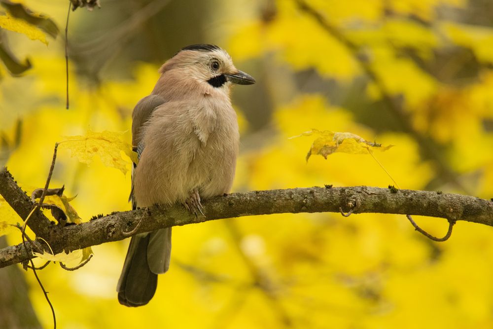 Photograph by Denis Vetrenko