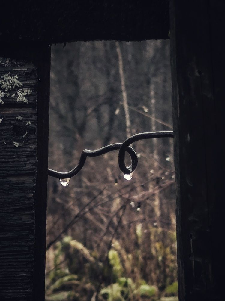 Photograph by Елена