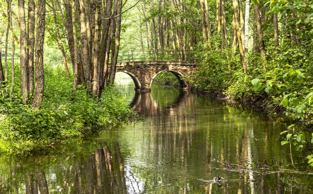 Photograph by Светлана Зыгмантович