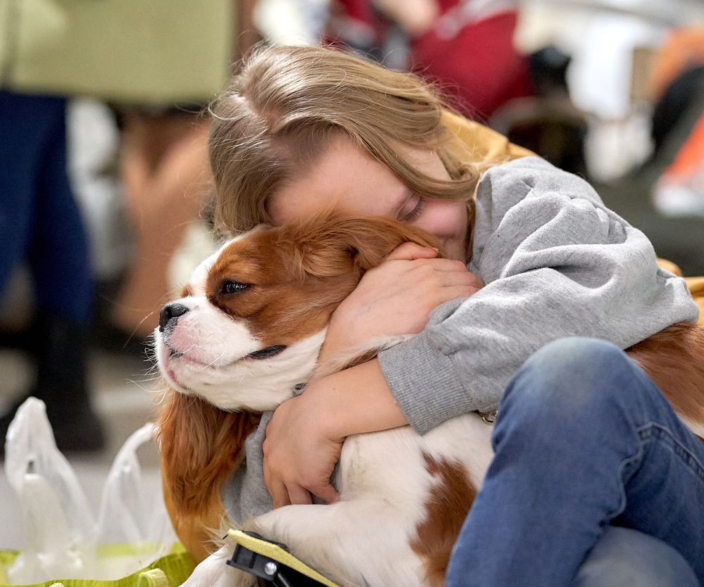 Photograph by Андрей Некрашевич