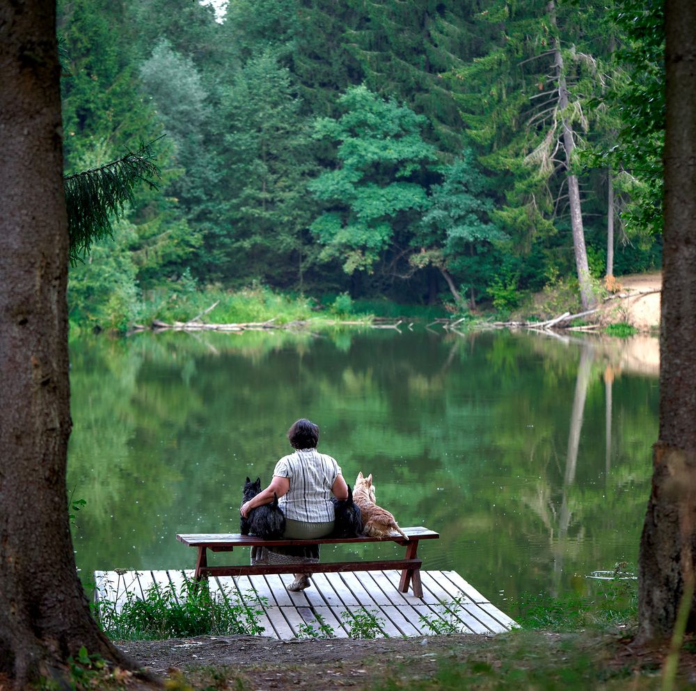 Photograph by Андрей Некрашевич