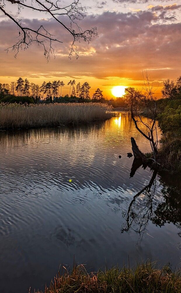 Photograph by Любовь Колмакова