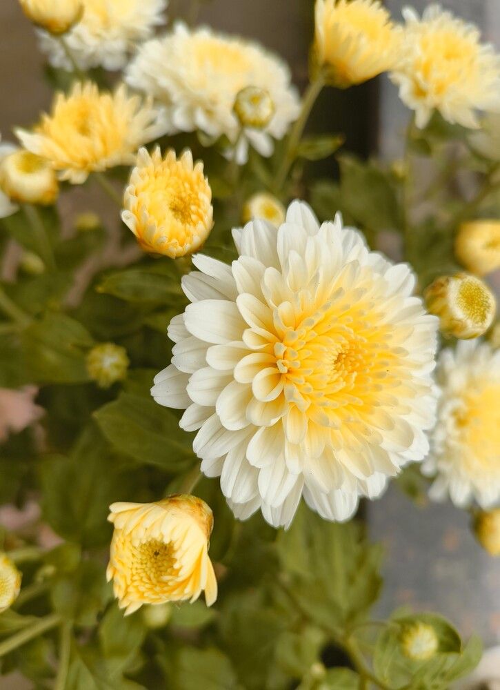 Photograph by Sruthy Kathula