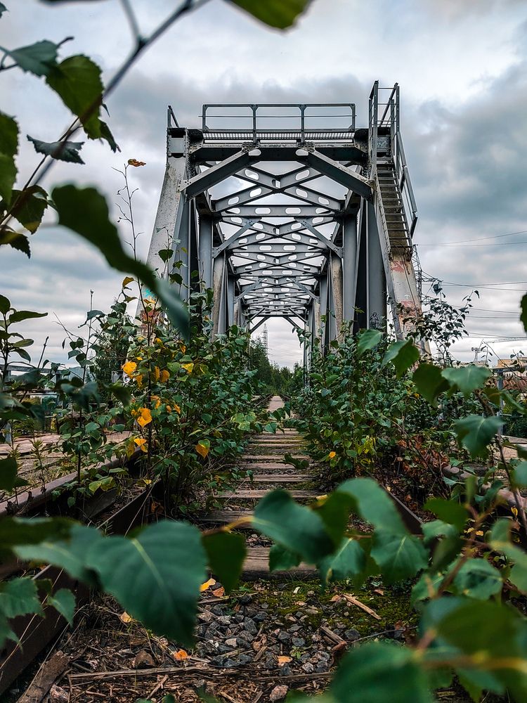 Фотография автора Наталья Королева