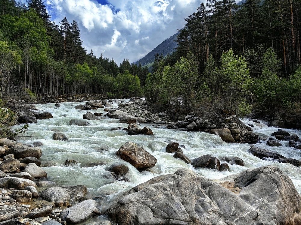 Photograph by Ярославна