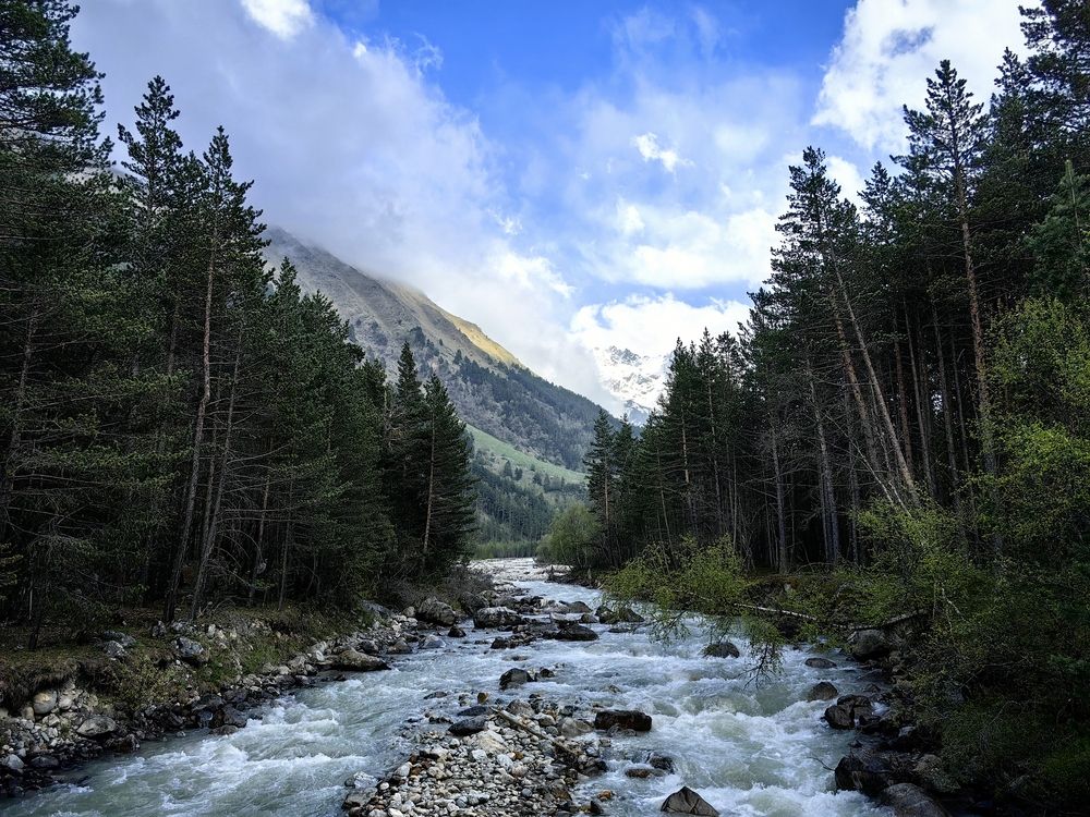 Photograph by Ярославна