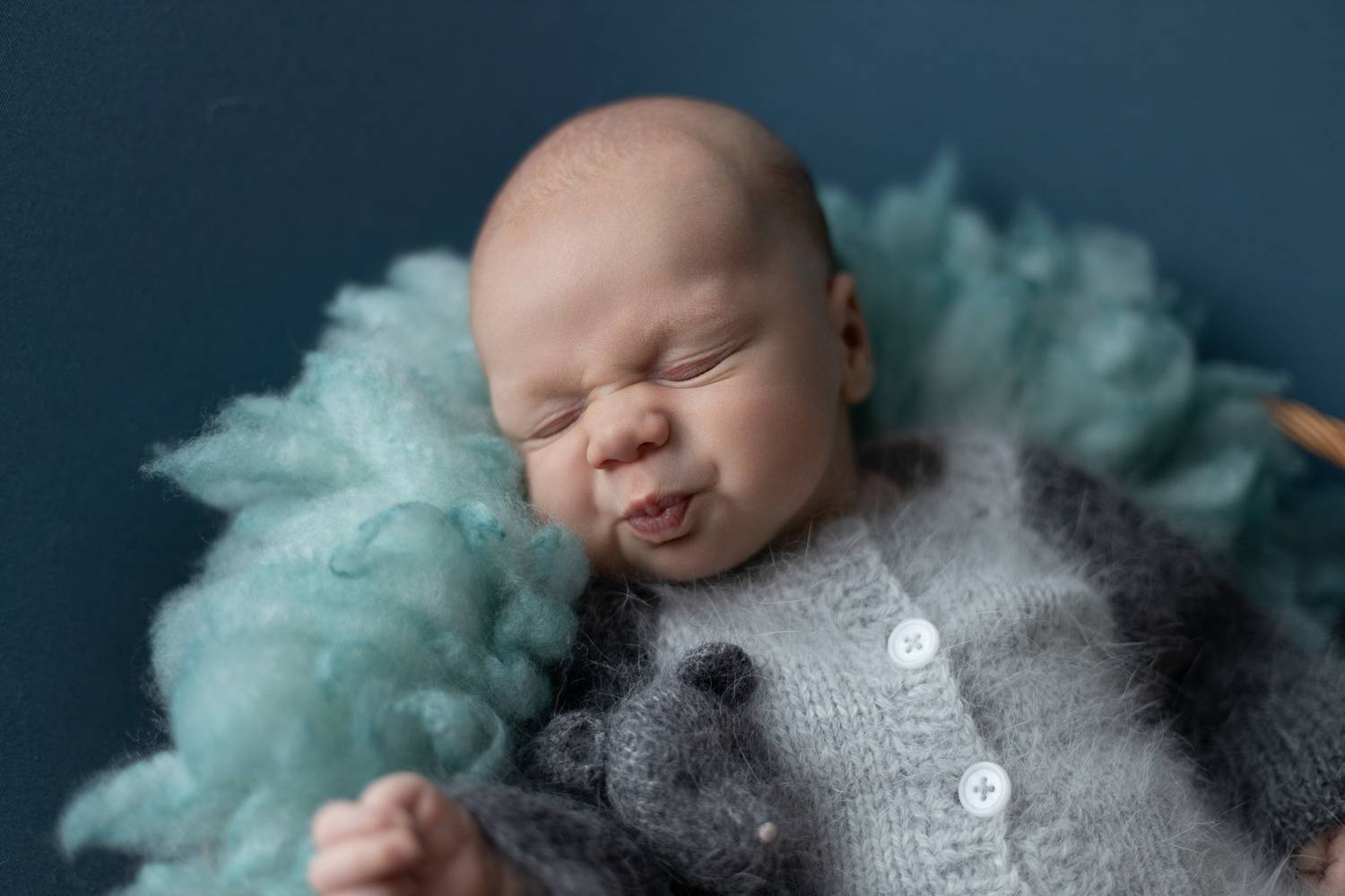 Фотография #13230940